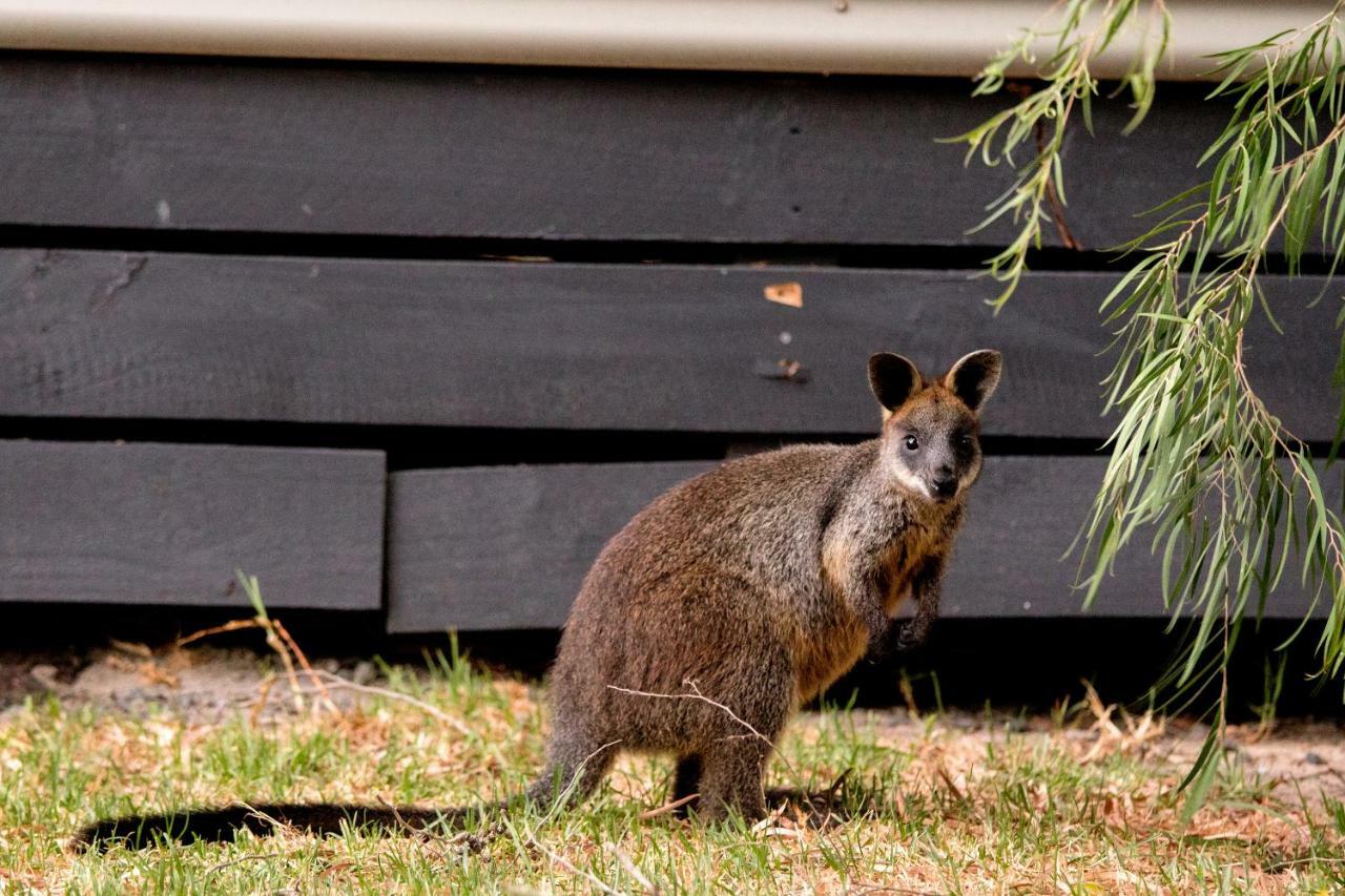 Big4 Ingenia Holidays Phillip Island Newhaven Dış mekan fotoğraf